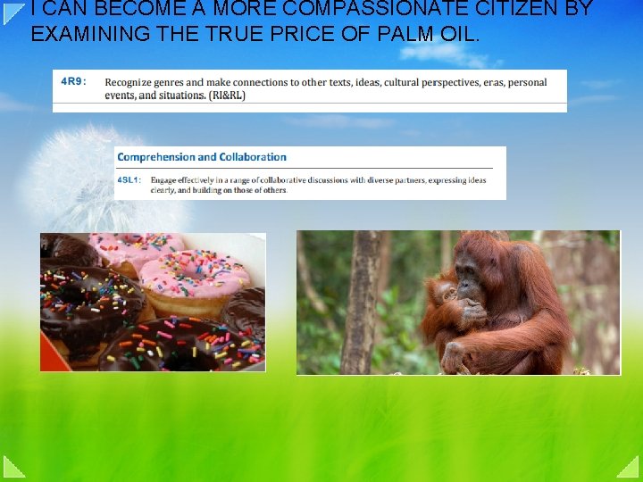 I CAN BECOME A MORE COMPASSIONATE CITIZEN BY EXAMINING THE TRUE PRICE OF PALM