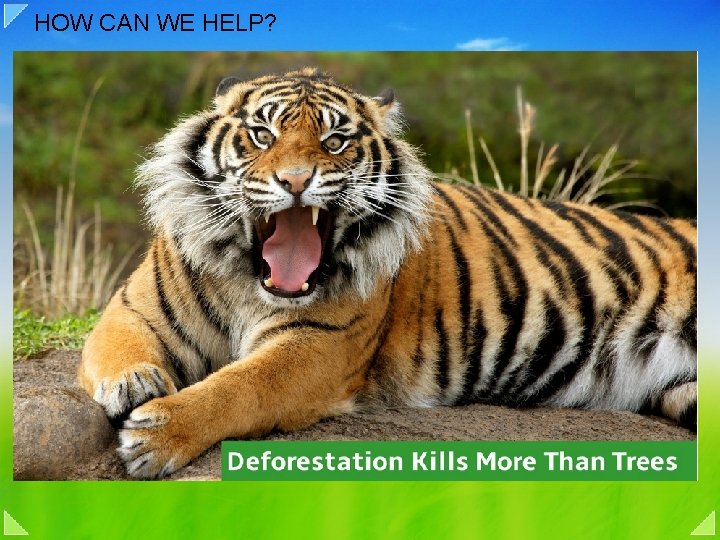 HOW CAN WE HELP? 