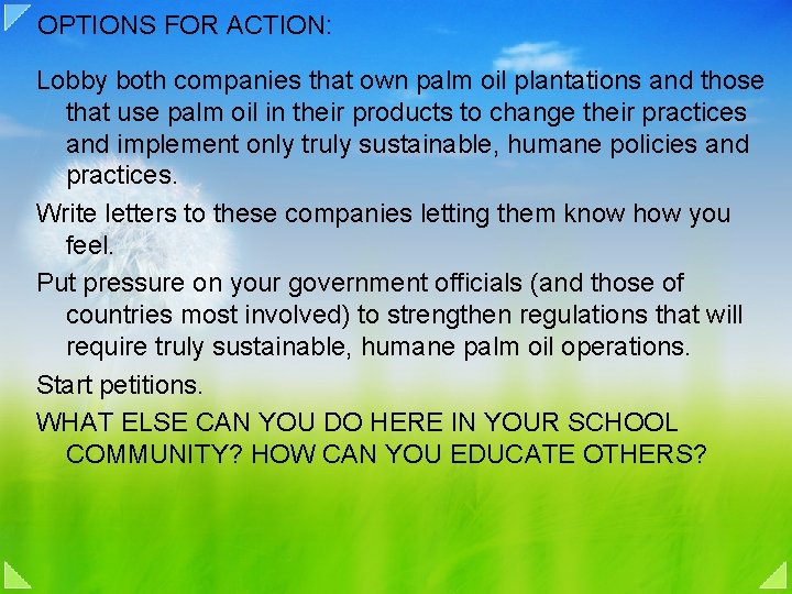 OPTIONS FOR ACTION: Lobby both companies that own palm oil plantations and those that