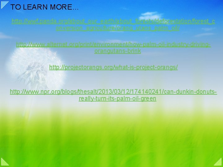 TO LEARN MORE… http: //wwf. panda. org/about_our_earth/about_forests/deforestation/forest_c onversion_agriculture/orang_utans_palm_oil/ http: //www. alternet. org/print/environment/how-palm-oil-industry-drivingorangutans-brink http: //projectorangs.