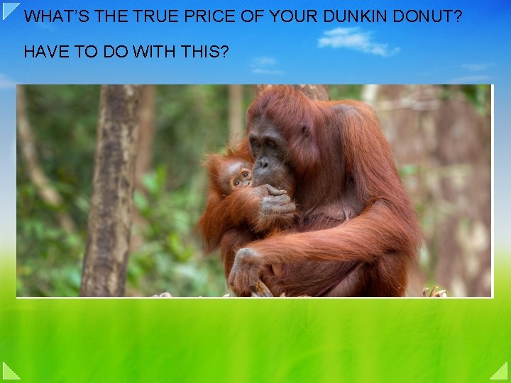 WHAT’S THE TRUE PRICE OF YOUR DUNKIN DONUT? HAVE TO DO WITH THIS? 