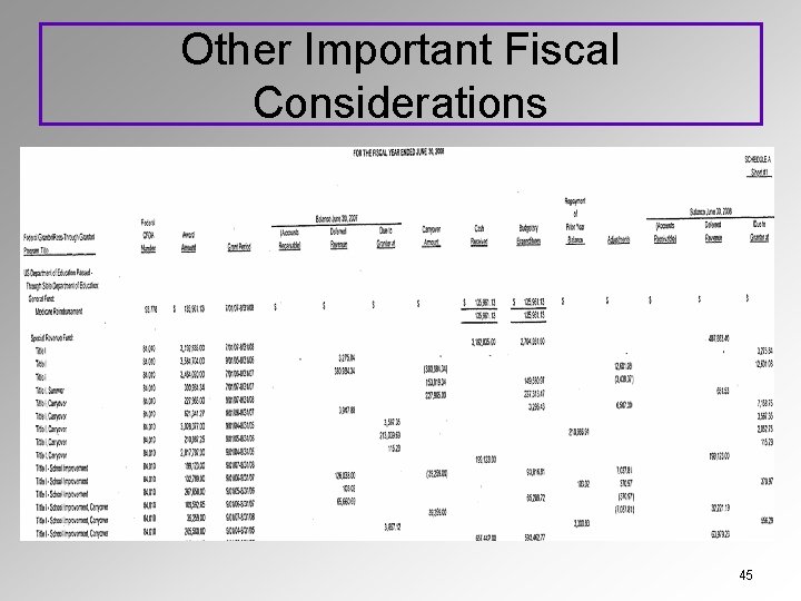 Other Important Fiscal Considerations 45 