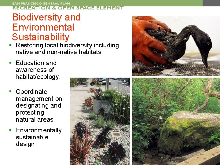 Biodiversity and Environmental Sustainability § Restoring local biodiversity including native and non-native habitats §