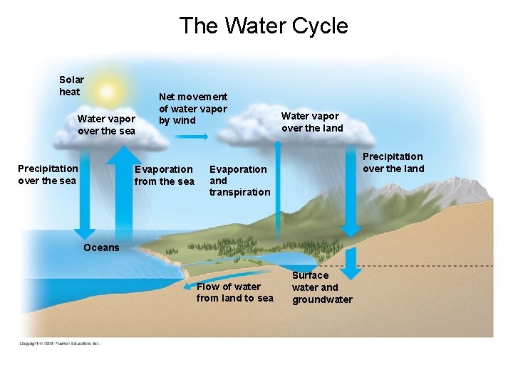 The Water Cycle Solar heat Water vapor over the sea Precipitation over the sea