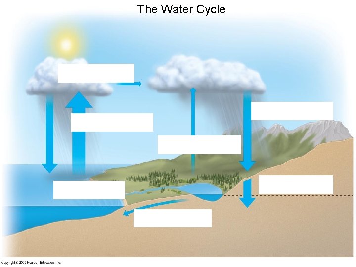 The Water Cycle 