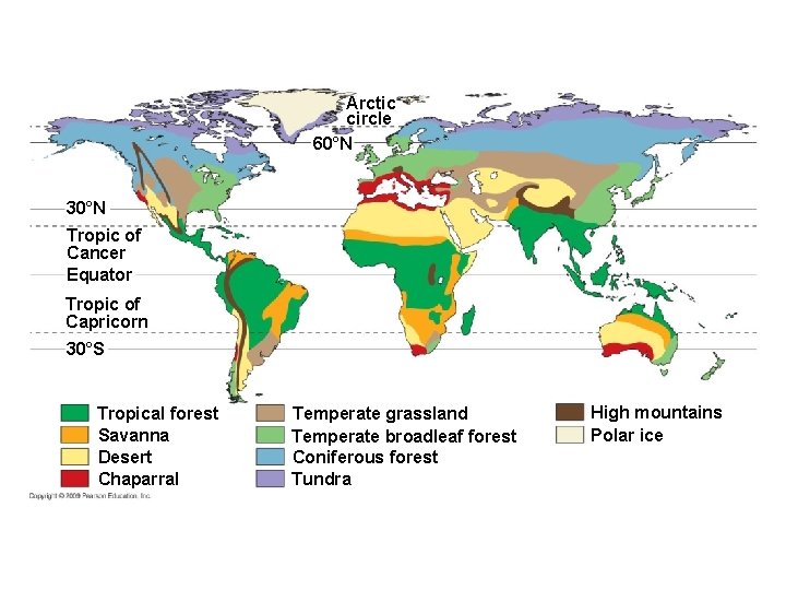 Arctic circle 60°N 30°N Tropic of Cancer Equator Tropic of Capricorn 30°S Tropical forest