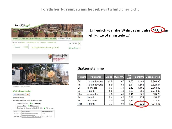 Forstlicher Nussanbau aus betriebswirtschaftlicher Sicht „Erfreulich war die Walnuss mit über 600 € für