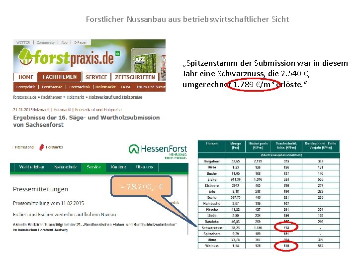 Forstlicher Nussanbau aus betriebswirtschaftlicher Sicht „Spitzenstamm der Submission war in diesem Jahr eine Schwarznuss,