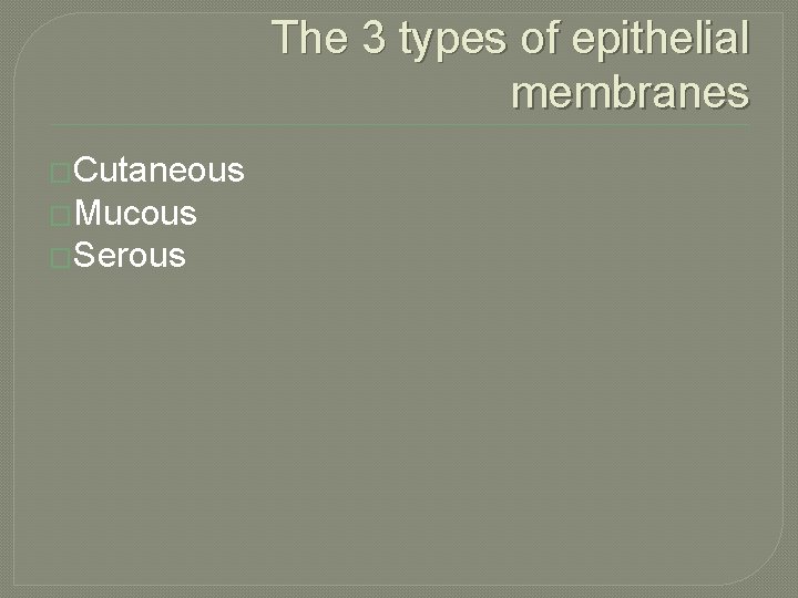 The 3 types of epithelial membranes �Cutaneous �Mucous �Serous 