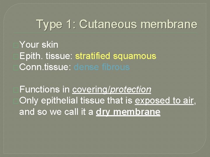Type 1: Cutaneous membrane �Your skin �Epith. tissue: stratified squamous �Conn. tissue: dense fibrous Type 1: Cutaneous membrane �Your skin �Epith. tissue: stratified squamous �Conn. tissue: dense fibrous