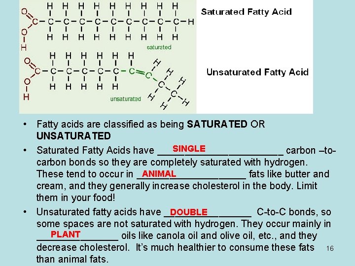  • Fatty acids are classified as being SATURATED OR UNSATURATED SINGLE • Saturated