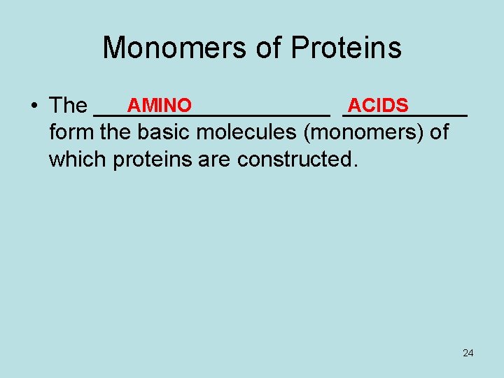 Monomers of Proteins AMINO ACIDS • The __________ form the basic molecules (monomers) of Monomers of Proteins AMINO ACIDS • The __________ form the basic molecules (monomers) of