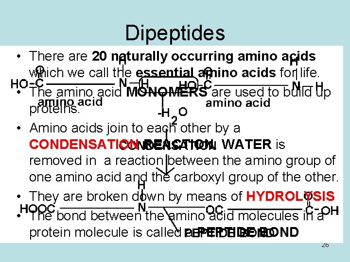 Dipeptides • There are 20 naturally occurring amino acids which we call the essential