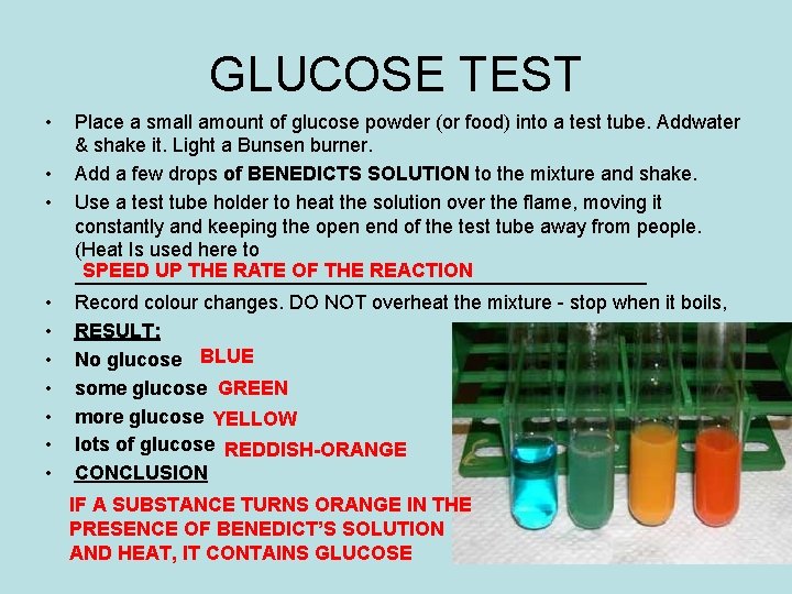 GLUCOSE TEST • • • Place a small amount of glucose powder (or food) GLUCOSE TEST • • • Place a small amount of glucose powder (or food)