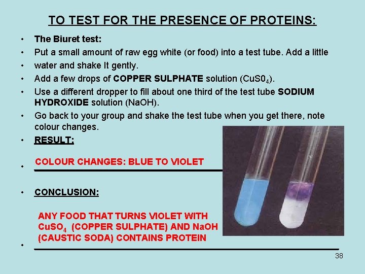 TO TEST FOR THE PRESENCE OF PROTEINS: • • • The Biuret test: Put