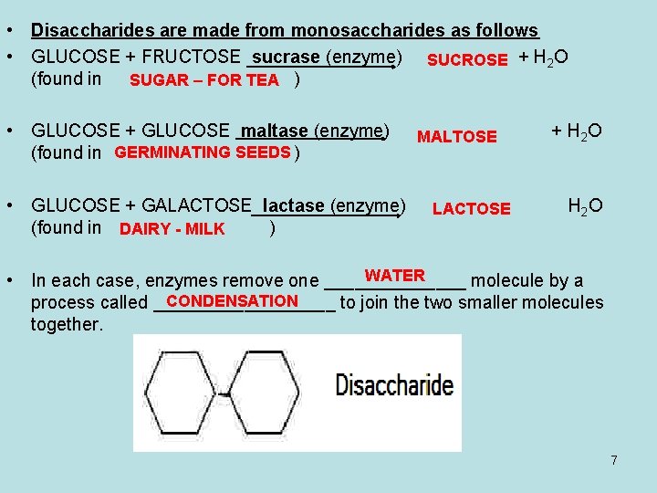  • Disaccharides are made from monosaccharides as follows • GLUCOSE + FRUCTOSE sucrase