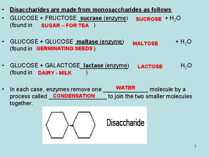 • Disaccharides are made from monosaccharides as follows • GLUCOSE + FRUCTOSE sucrase • Disaccharides are made from monosaccharides as follows • GLUCOSE + FRUCTOSE sucrase