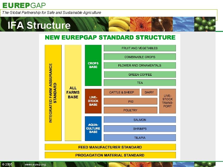 EUREPGAP The Global Partnership for Safe and Sustainable Agriculture IFA Structure © 2005 www.