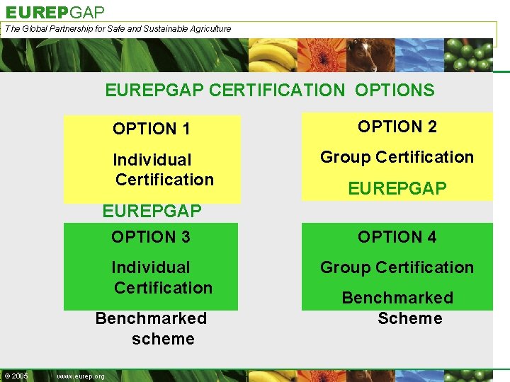 EUREPGAP The Global Partnership for Safe and Sustainable Agriculture EUREPGAP CERTIFICATION OPTIONS OPTION 1