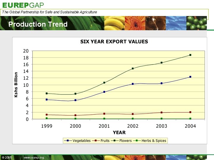 EUREPGAP The Global Partnership for Safe and Sustainable Agriculture Production Trend © 2005 www.