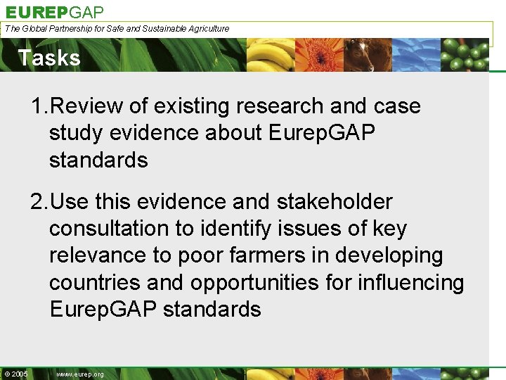 EUREPGAP The Global Partnership for Safe and Sustainable Agriculture Tasks 1. Review of existing