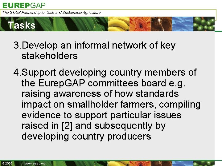 EUREPGAP The Global Partnership for Safe and Sustainable Agriculture Tasks 3. Develop an informal
