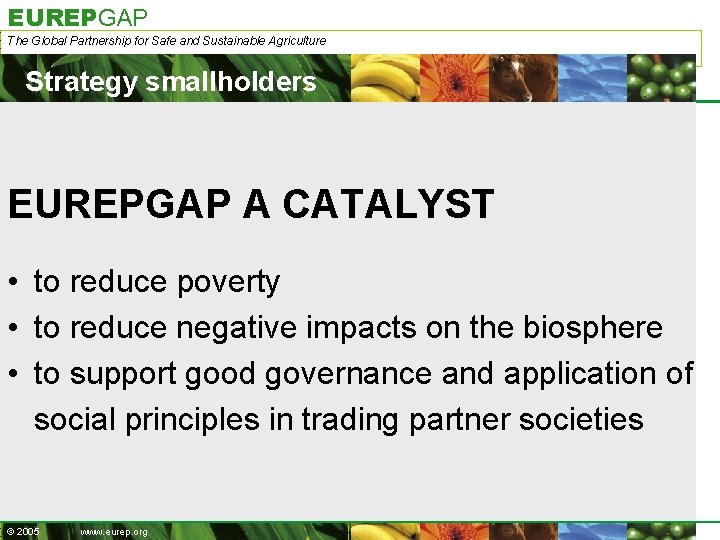 EUREPGAP The Global Partnership for Safe and Sustainable Agriculture Strategy smallholders EUREPGAP A CATALYST
