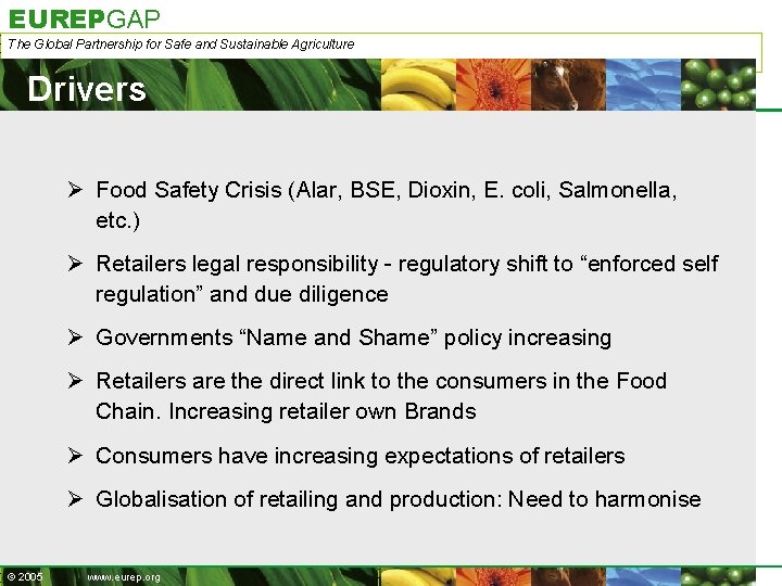 EUREPGAP The Global Partnership for Safe and Sustainable Agriculture Drivers Ø Food Safety Crisis
