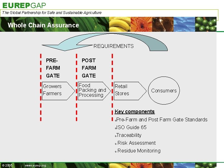EUREPGAP The Global Partnership for Safe and Sustainable Agriculture Whole Chain Assurance REQUIREMENTS PRE-