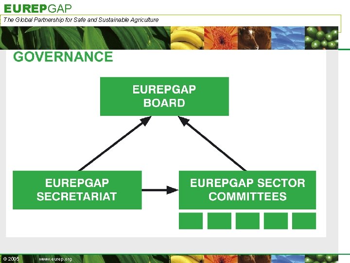 EUREPGAP The Global Partnership for Safe and Sustainable Agriculture © 2005 www. eurep. org