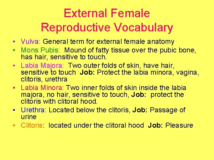 External Female Reproductive Vocabulary • Vulva: General term for external female anatomy • Mons