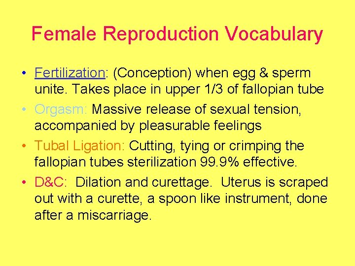 Female Reproduction Vocabulary • Fertilization: (Conception) when egg & sperm unite. Takes place in