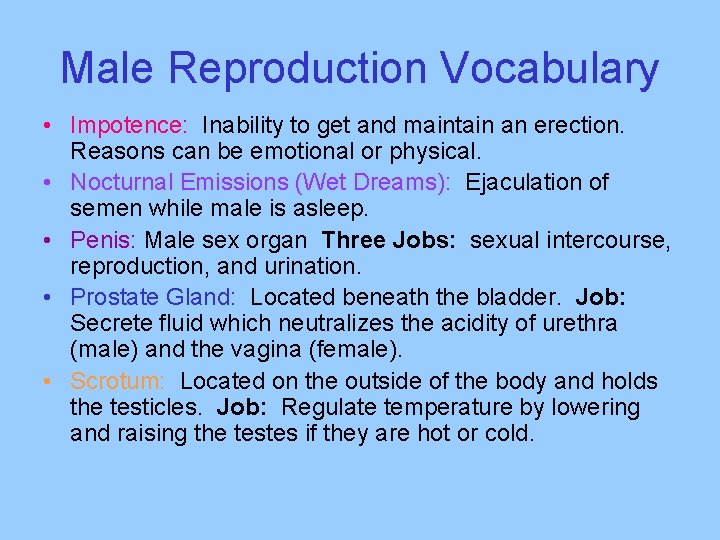 Male Reproduction Vocabulary • Impotence: Inability to get and maintain an erection. Reasons can