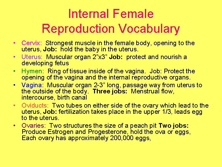 Internal Female Reproduction Vocabulary • Cervix: Strongest muscle in the female body, opening to
