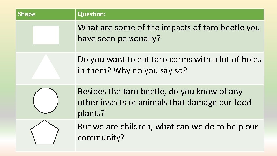 Shape Question: What are some of the impacts of taro beetle you have seen