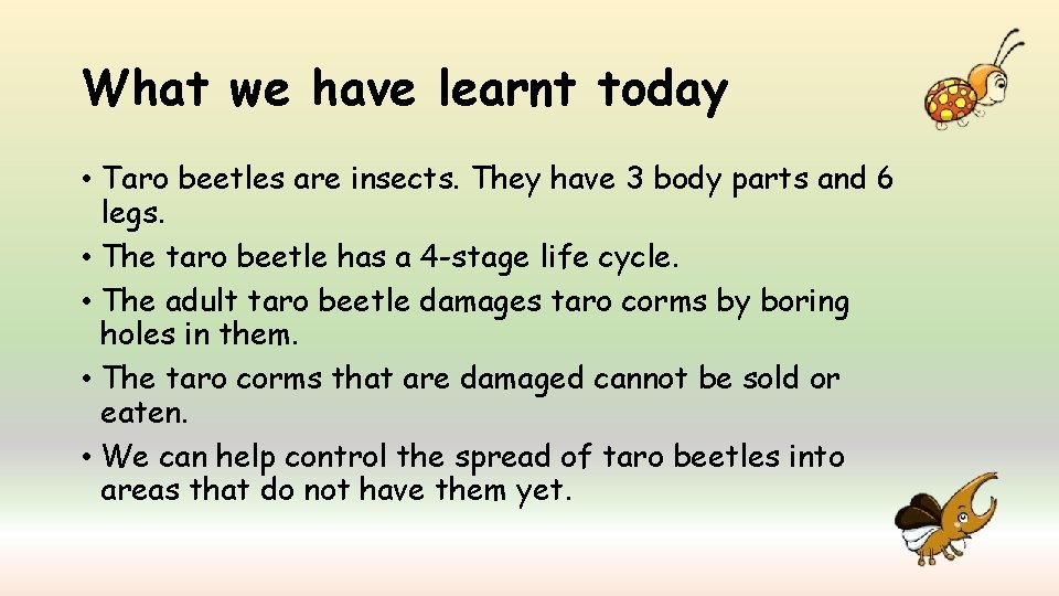 What we have learnt today • Taro beetles are insects. They have 3 body