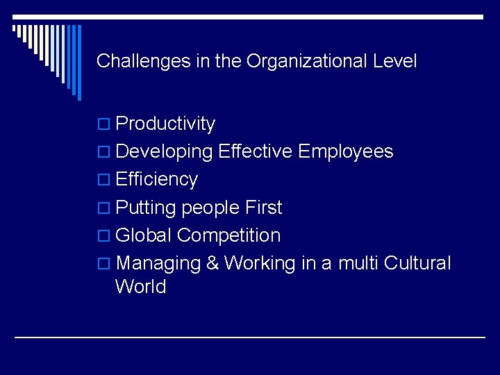 Challenges in the Organizational Level o Productivity o Developing Effective Employees o Efficiency o