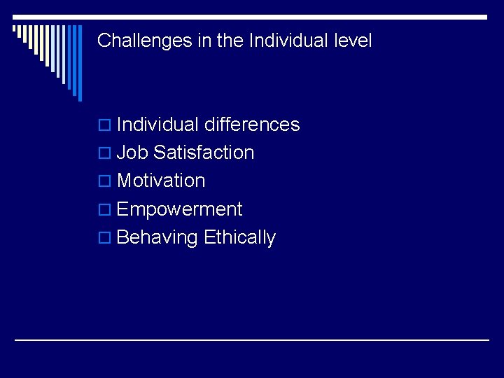 Challenges in the Individual level o Individual differences o Job Satisfaction o Motivation o