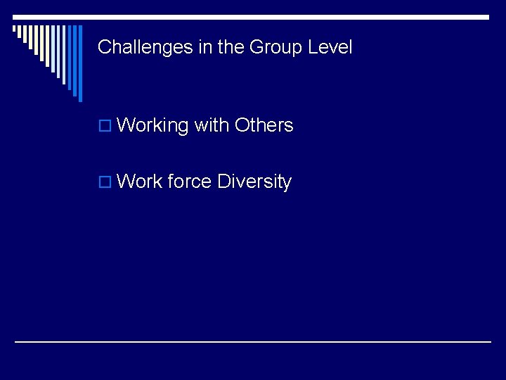 Challenges in the Group Level o Working with Others o Work force Diversity 