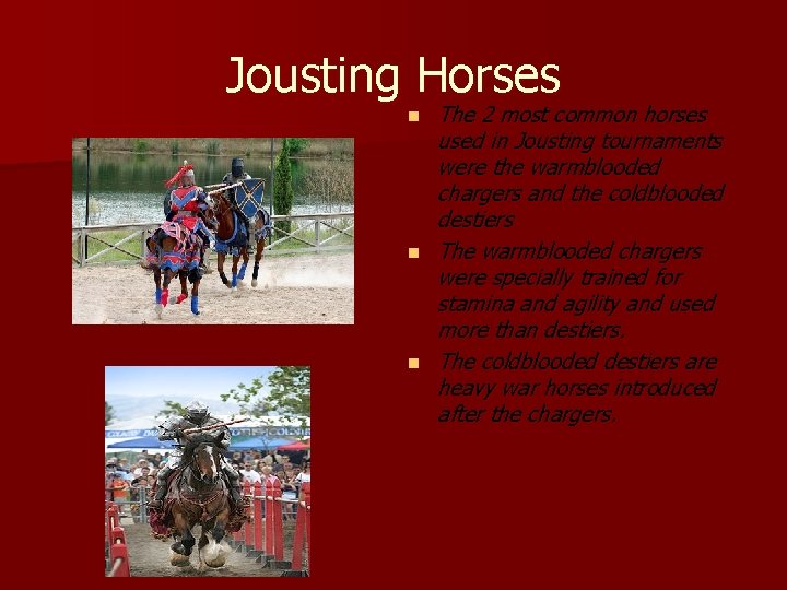 Jousting Horses n n n The 2 most common horses used in Jousting tournaments