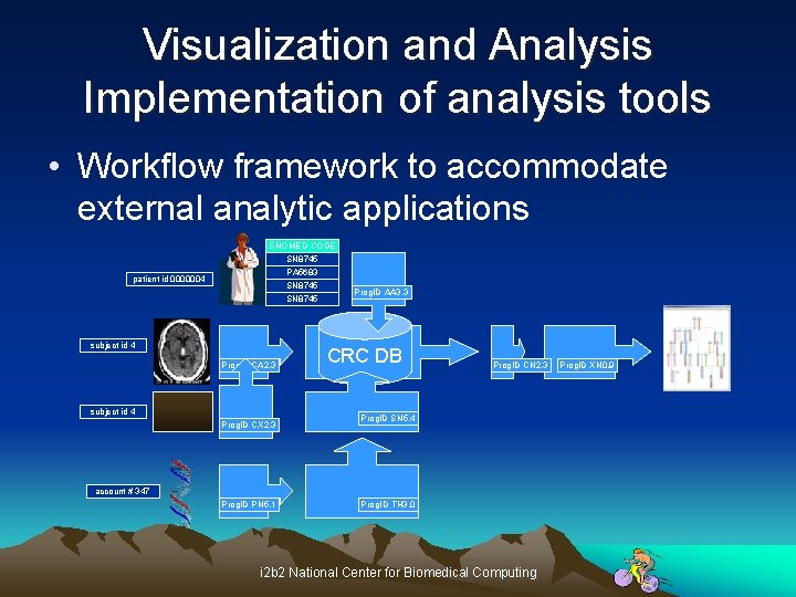 Visualization and Analysis Implementation of analysis tools • Workflow framework to accommodate external analytic