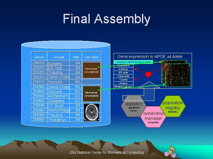 Final Assembly person concept Z 5937 X Z 5937 X Z 5956 X Z