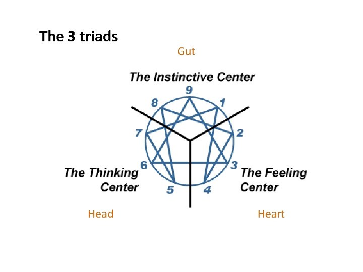 The 3 triads Head Gut Heart 