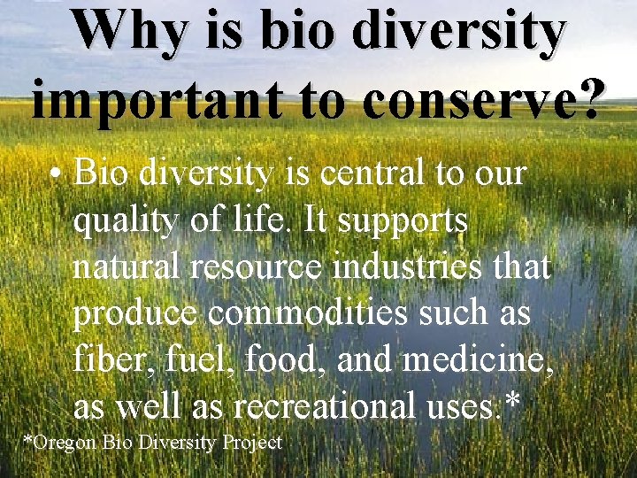 Why is bio diversity important to conserve? • Bio diversity is central to our