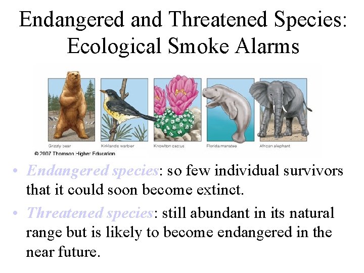 Endangered and Threatened Species: Ecological Smoke Alarms • Endangered species: so few individual survivors