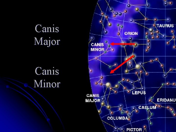 Canis Major Canis Minor 