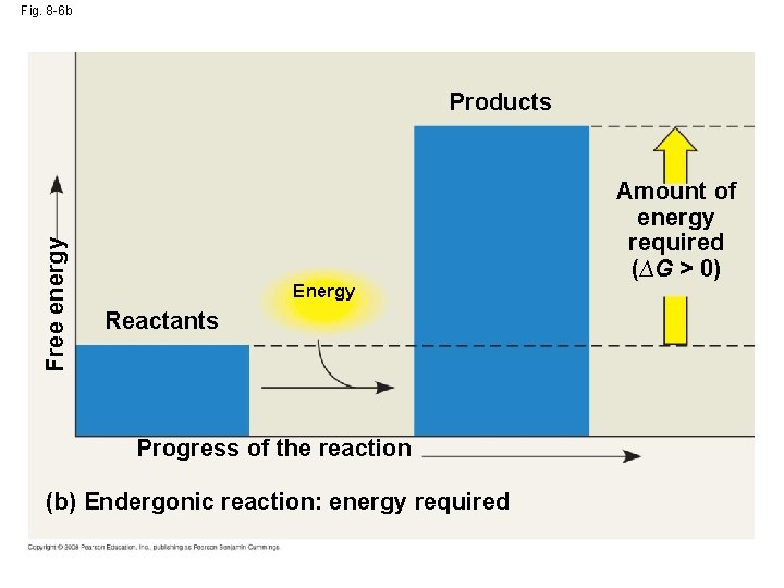 Fig. 8 -6 b Free energy Products Energy Reactants Progress of the reaction (b)