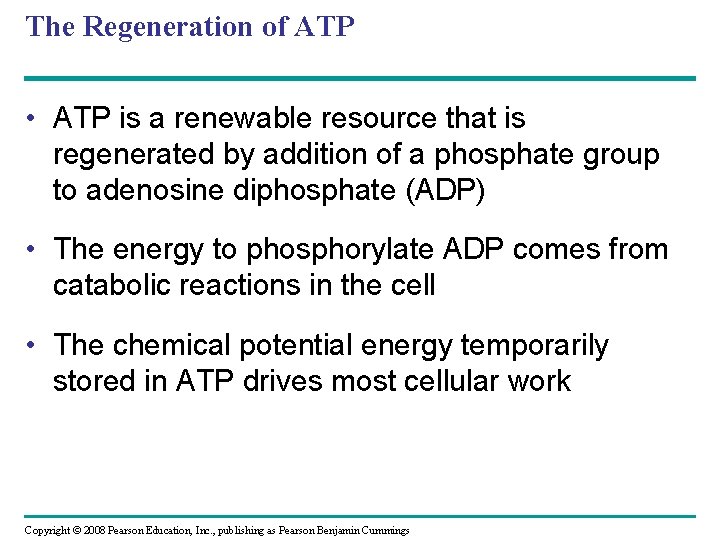 The Regeneration of ATP • ATP is a renewable resource that is regenerated by