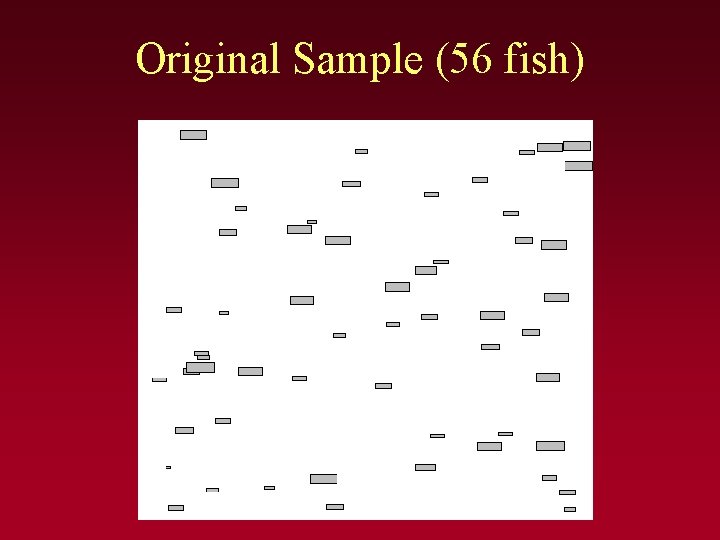 Original Sample (56 fish) 