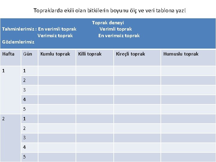 Topraklarda ekili olan bitkilerin boyunu ölç ve veri tablona yaz! Tahminlerimiz : En verimli